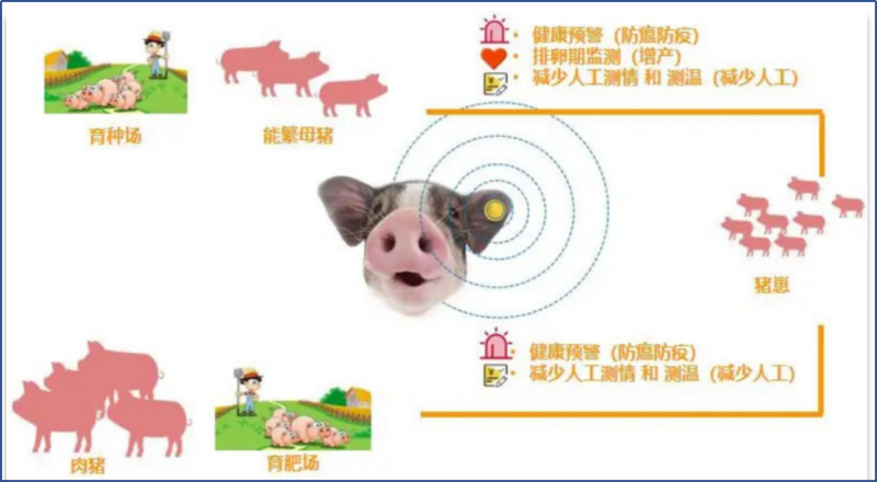 1633954218958596651.png